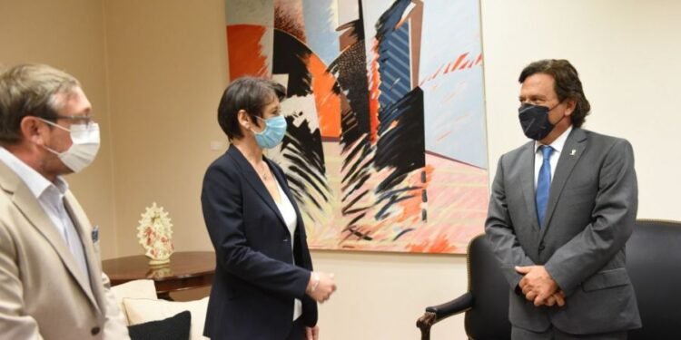 El proyecto minero Centenario Ratones construirá una planta de producción de carbonato de litio en la puna salteña