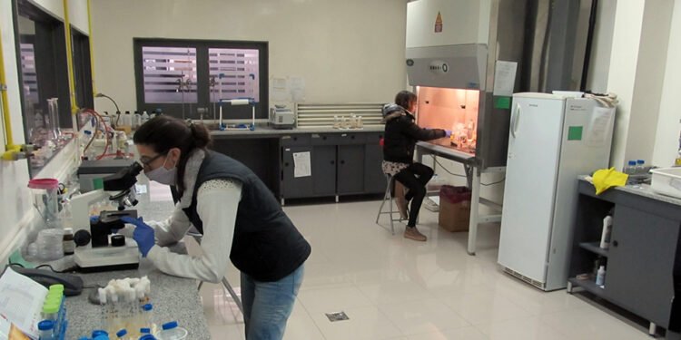 Minería urbana y biominería para recuperación de litio