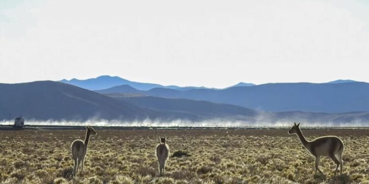 Argentina se alista para un salto de magnitud como productor mundial de litio