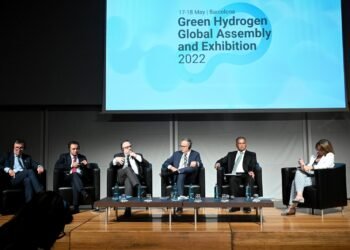 Kulfas destacó el potencial del hidrógeno verde para el desarrollo de Argentina