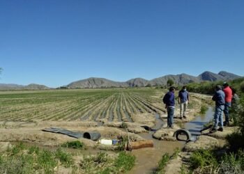 Crecimiento integral para todos los sanjuaninos con aportes de la minería