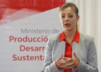 La Salteña Flavia Royón asumirá el control de la cartera de energía y minería de la Nación