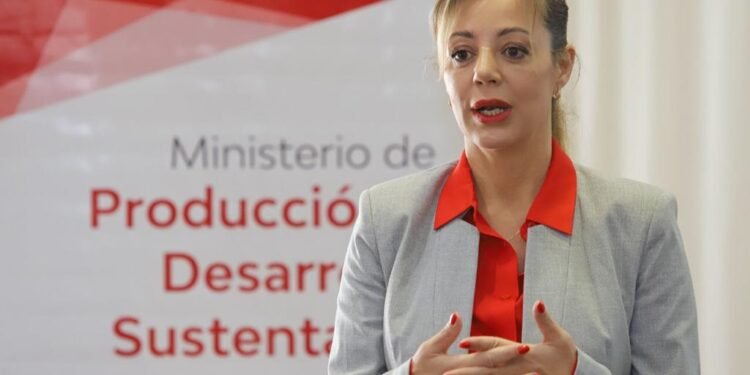 La Salteña Flavia Royón asumirá el control de la cartera de energía y minería de la Nación