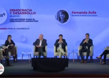 El Gobierno confirmó que analiza lanzar un “dólar litio”: “Es algo que estamos conversando”