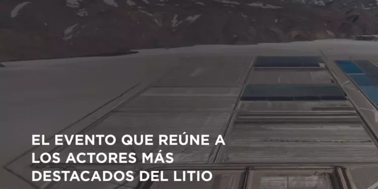 XII Seminario Internacional LITIO