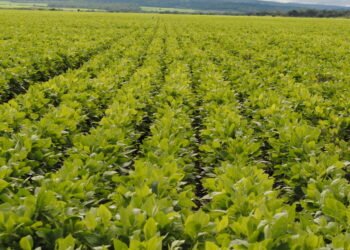 Salta lanza una diplomatura que afianza y promueve el desarrollo de la agroindustria