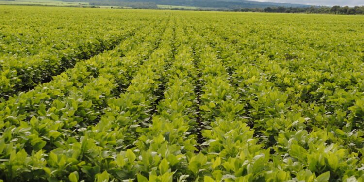 Salta lanza una diplomatura que afianza y promueve el desarrollo de la agroindustria